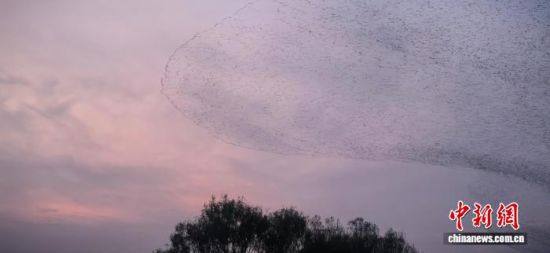 �D��ɽ�|�|�I�S�������އ��Ҽ���Ȼ���o(h��)�^(q��)�ġ��B�ˡ����^����� �z