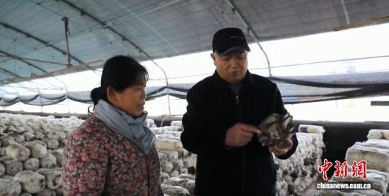 �S�f��(��)�ڎ͹��r(n��ng)���Nֲ�y�}���|�����^(q��)ί���������D