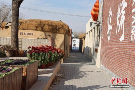 ���?qu��n)l(xi��ng)���ȡ��ѳɞ��d¡�����ġ�������ڡ����O���� �z