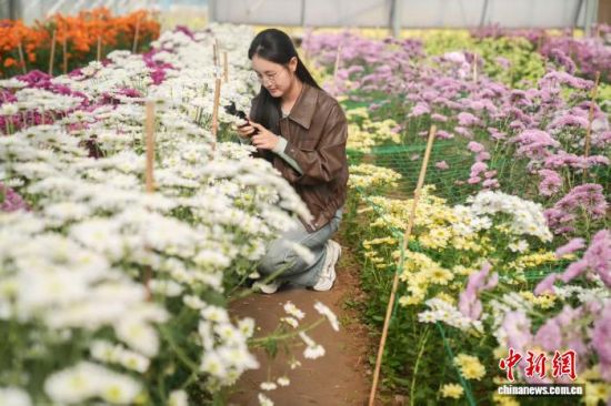 uƽLɽ(zhn)˷r(nng)Ĵ(ni)pջ˵ z