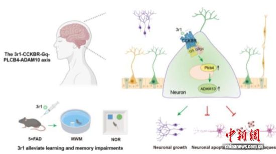 ɽ|W(xu)F(tun)(du)аl(f)GqƫԼ(dng)3r1@ѡ(zhn)耳סЧ˰ĺĬ(AD)ģ͵J(rn)֪ϵKɽ|W(xu)D