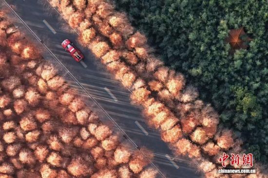 121գպIɭֹ@ߔ箋(hu)(o(w)˙C(j)Ƭ) z