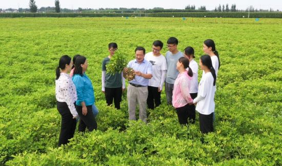 �����Ƽ���(chu��ng)�F(tu��n)����g����