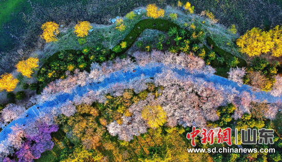 付明皓 攝 付明皓 攝