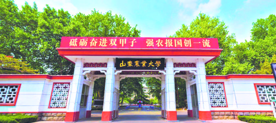 ����ɽ�|�r(n��ng)�I(y��)��W(xu��)һ����